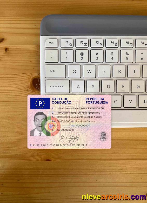 Portugal driving license  photolook